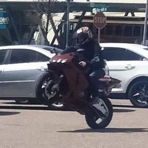 Meet your Posher, Ray